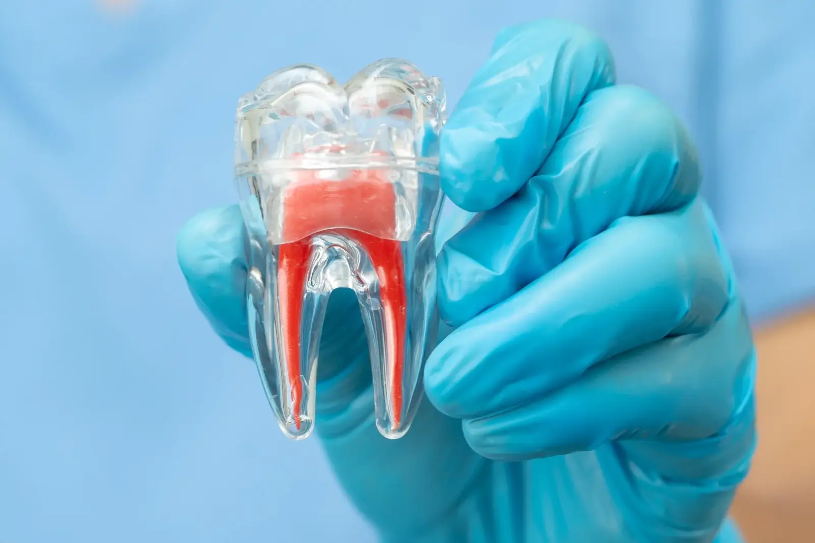 asian-dentist-holding-dental-implant-artificial-tooth-roots-into-jaw (1)